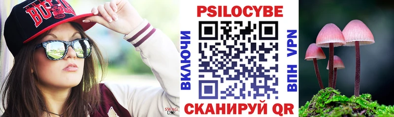 Псилоцибиновые грибы Psilocybe Алексин